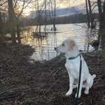 Ersteller:in Susanne Profilbild