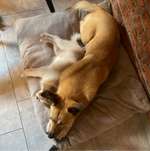 Ersteller:in Anna Profilbild