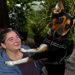 Ersteller:in Aniko Profilbild