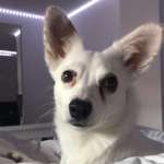 Ersteller:in Cheyanne Profilbild