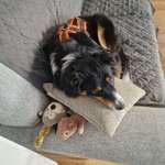 Ersteller:in MajaK Profilbild