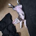 Ersteller:in Kevin Profilbild