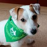 Ersteller:in Inka Profilbild