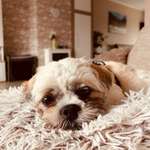 Ersteller:in Mandy Profilbild