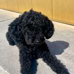 Ersteller:in Hannah Profilbild