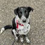 Ersteller:in Laura Profilbild