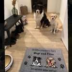 Ersteller:in Aylin Profilbild