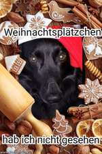 Adventszeit und Weihnachten-Beitrag-Bild