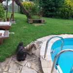 Ersteller:in Karin Profilbild