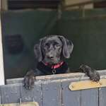 Ersteller:in Leni Profilbild