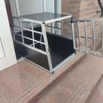 Autohundebox-Beitrag-Bild