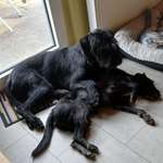 Ersteller:in Irmgard Profilbild