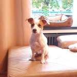 Ersteller:in Kamilla Profilbild