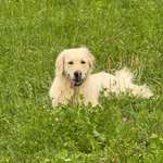 Ersteller:in Michaela Susan Profilbild