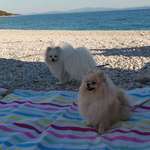 Ersteller:in Olga Profilbild