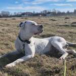 Ersteller:in Denny und Baddy Profilbild