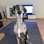 Ersteller:in Sarah Profilbild