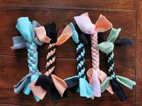 Zottel zu verschenken-Beitrag-Bild