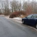 Hundeauslaufgebiet-Spazierwege am Syrabach-Bild