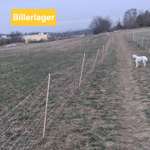 Hundeauslaufgebiet-Neuteich hinterm Billerlager-Bild