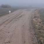 Hundeauslaufgebiet-Windmühla Syrau, Fröbersgrün-Bild