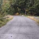 Hundeauslaufgebiet-Syratal Plauen, Richtung Neundorf und Stadtpark-Bild