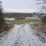 Hundeauslaufgebiet-Grosses Wiesengelände Ende Syratal-Bild