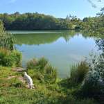 Hundeauslaufgebiet-Spazierwege am Syrabach-Bild