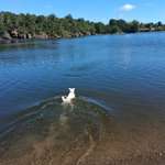 Hundestrand-Hundestrand Talsperre Pirk-Bild