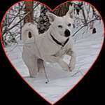 Ersteller:in Berna Profilbild