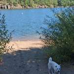 Hundestrand-Hundestrand Talsperre Pirk-Bild