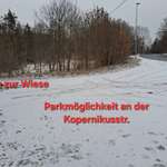 Hundeauslaufgebiet-Grosses Wiesengelände Ende Syratal-Bild