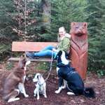 Ersteller:in Jay Profilbild