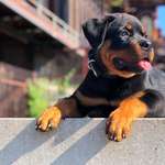 Ersteller:in Anja Profilbild