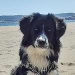 Ersteller:in Simone Profilbild