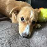 Ersteller:in Maria Profilbild