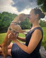 Anbellen-Beitrag-Bild