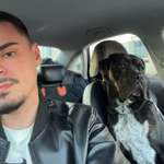 Ersteller:in Albi Profilbild