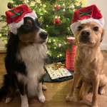 Ersteller:in Judith Profilbild