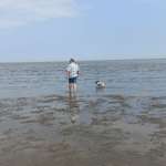 Ersteller:in Daniel Profilbild