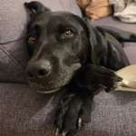 Ersteller:in Steffi Profilbild