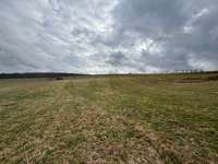 Hundeauslaufgebiet-Freilauf Gelände in Freital Zaukerode-Bild