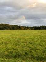 Hundeauslaufgebiet-Flehbachaue-Bild