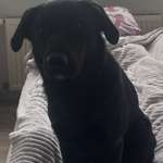 Ersteller:in Franziska Profilbild