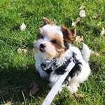 Ersteller:in Hannah Profilbild