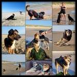 Ersteller:in Le Profilbild