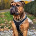 Ersteller:in Eileen Profilbild