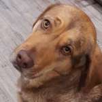 Ersteller:in Fräulein Profilbild