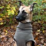 Ersteller:in Dajana Profilbild