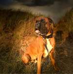 Ersteller:in Angélique Profilbild